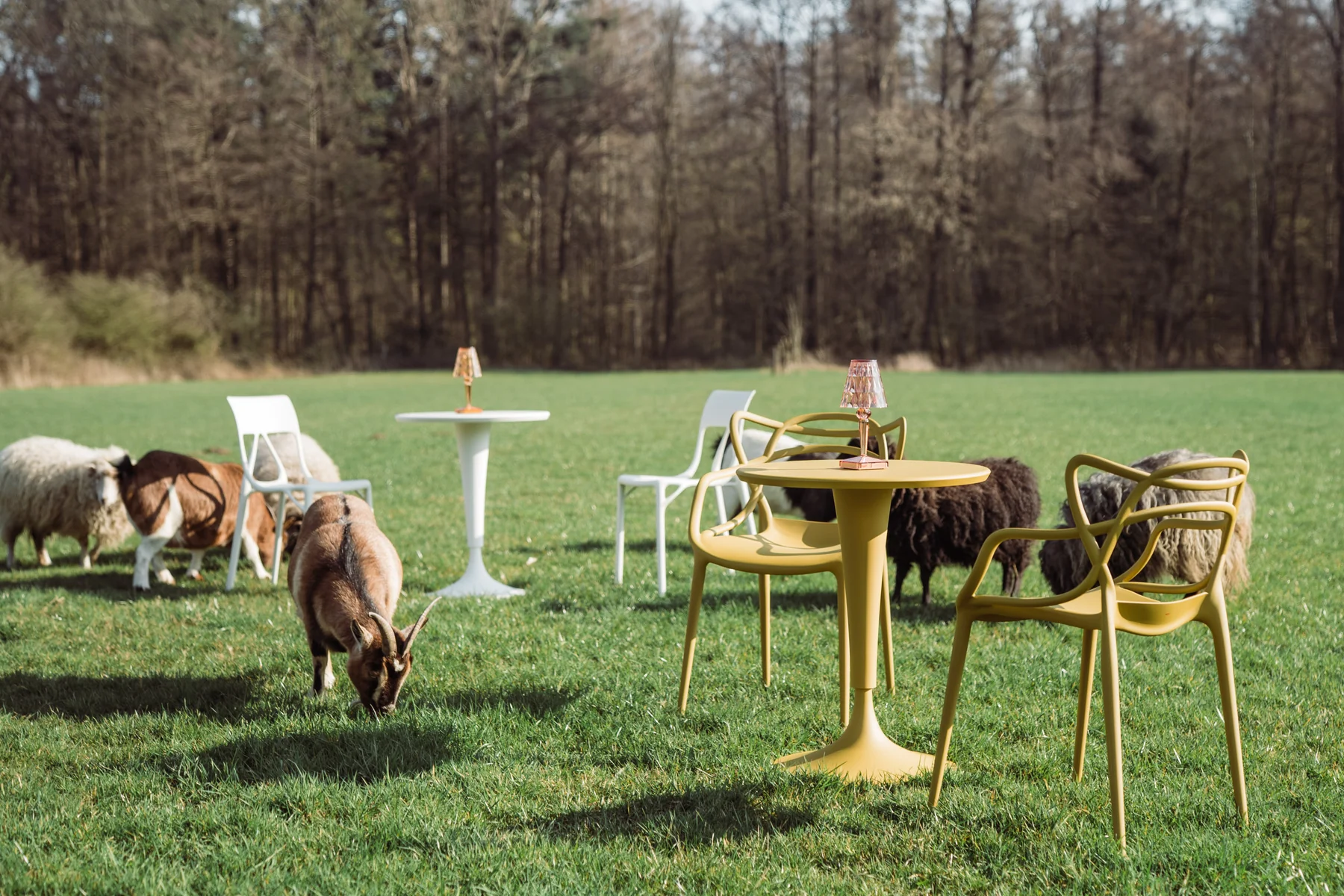 Exklusive Designklassiker zum Bestpreis